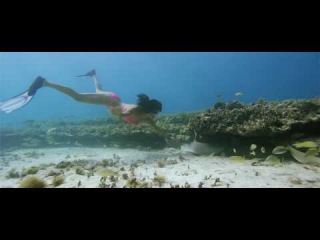 Blue Theme - Blue (2009) *BluRay* - Full Song - Hindi Music Video