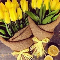 Светлана Барсукова |