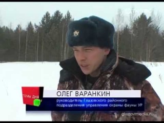 Бешенство