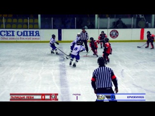 Хокей 19.01.2013 «Леви» м. Львів -