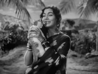 POOJA KE PHOOL 1964 meow meow meri sakhi Lata Madan Mohan Rajendar Krishan