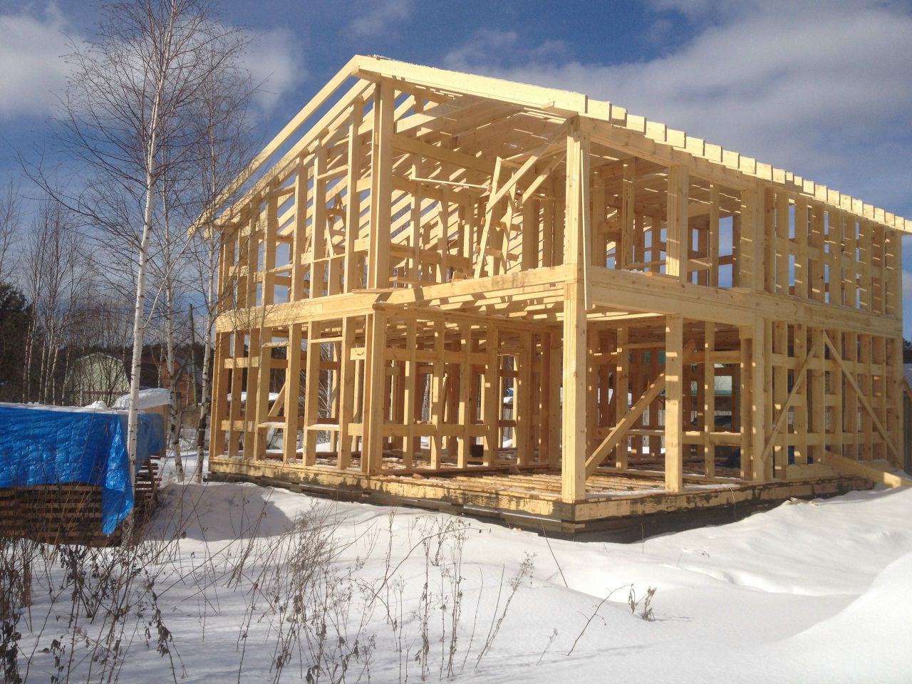 Дворецкий дмитрий строительство домов