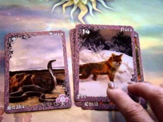 Lenormand Combinations for Beginners: The Snake