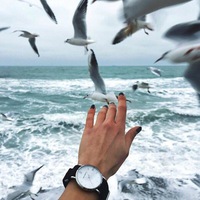 Светлана Колесникова | Владивосток