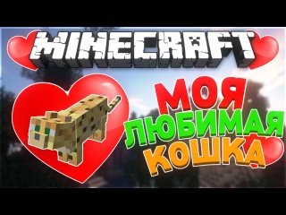 Моя любимая кошка - Ender Games