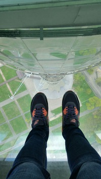 Надежда Петрова