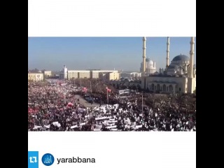 faridunmustafoi video