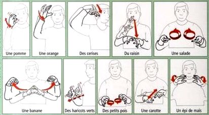 Учебник По Языку Жестов Учебник По Языку Жестов