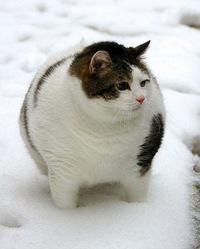 Олеся Эдикеевна