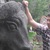 Фото пользователя Соколов