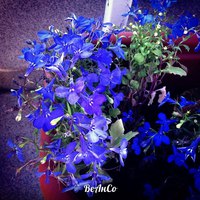 Музей Городских Легенд - яркие мероприятия в Самаре