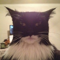 Арсений Селиванов | Ванино