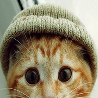 Евгений Шпак | 