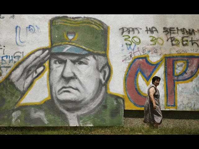Мой генерал Младич