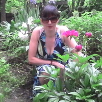 Елена Бородкина | 