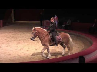 Haflinger zeigt Piaffe & Passage bei Fachtagung 2015 Anja Beran & Jana Mandana