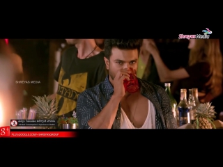Pareshanura Song Promo -- Dhruva Movie Song -- Ram charan -- Rakul Preet Singh -- Shreyas Media