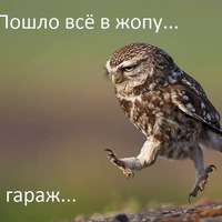 Денис Седов