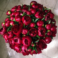 Наргис Ашурметова