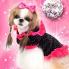 dog_style_perm