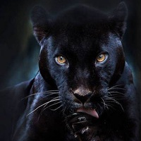 Кузнецова Эллина