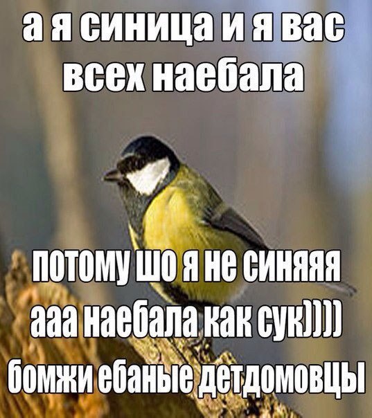 OoB-WQqpSYI.jpg