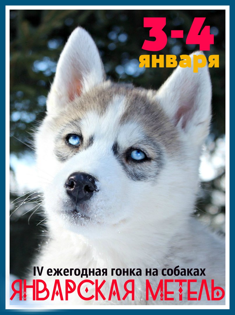 Афиша Ижевск Январская Метель 2018 спринт+мид в Удмуртии!
