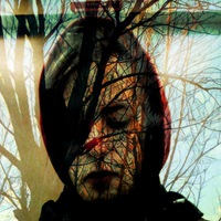 Евгений Ижицкий