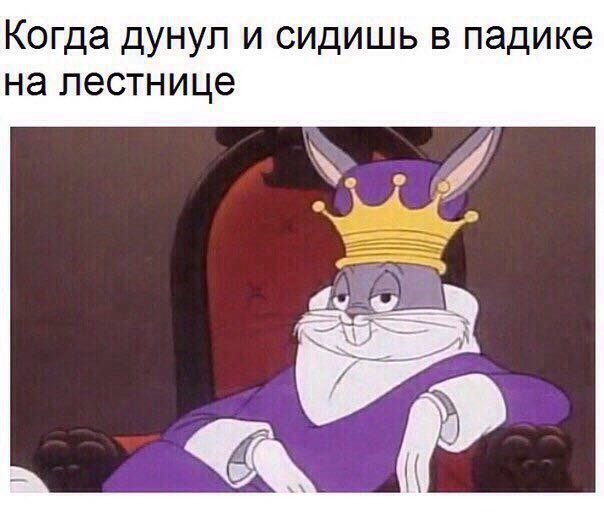 tpbcmj15gCU.jpg