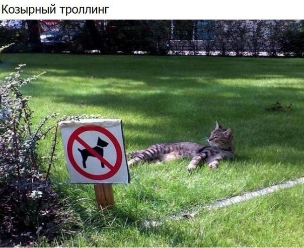 Женщины загнул раком на кухонном столе и выебал фото-большие члены