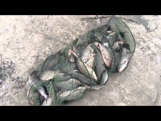 Рыбалка в богучарском районе Рыбалка в богучарском районе