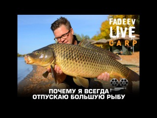Почему я всегда отпускаю крупную рыбу.