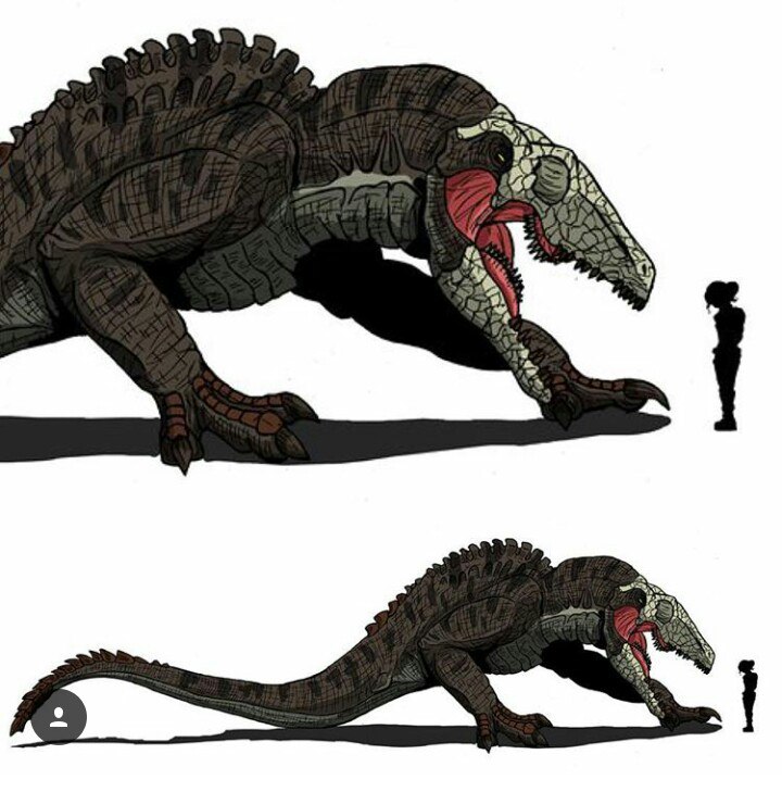 Игрушки картинки черепозавра