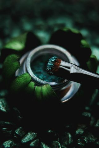 Его Величество Боровик Зелёные Страницы