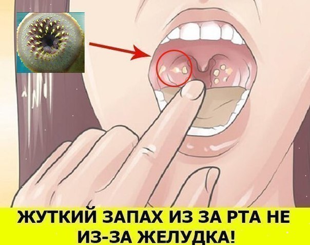 прогнозы на тотал игроков нба прогнозы на тотал игроков нба