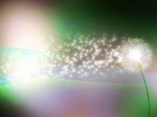 MUSIC BY SRI CHINMOY . LIGHT OF THE DREAMS ... MEDITATION