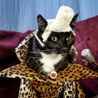 Светличный Андрей