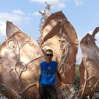 Толя Дмитрович