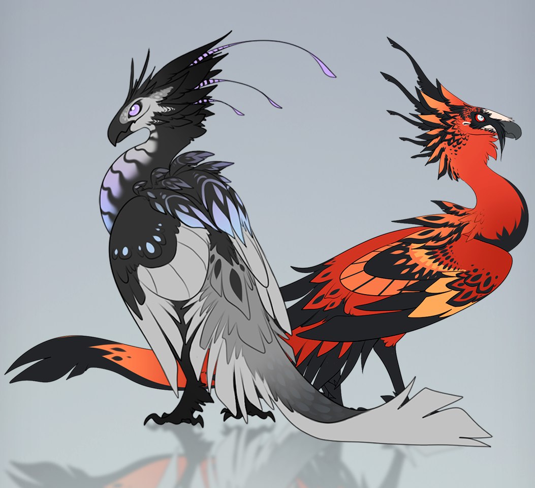 Картинки адопт ми попугай