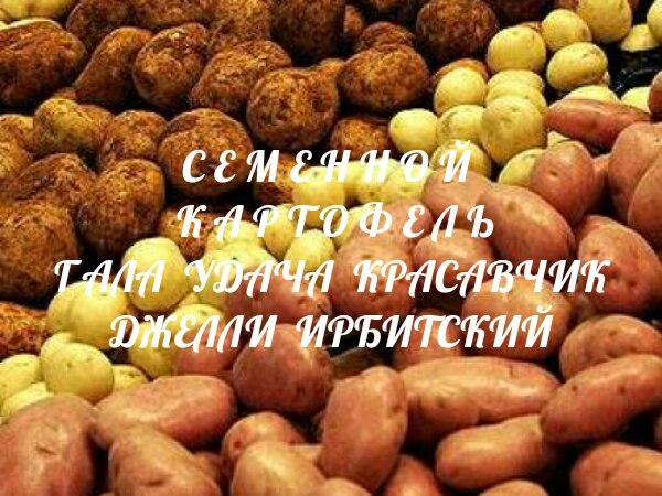 Ваше Плодородие Уфа Интернет Магазин