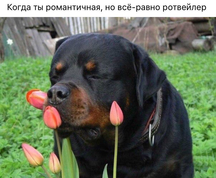 uVh8A0cbe6A.jpg