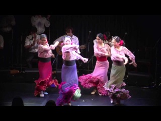 Flamenco Documentary(Yuka Imaeda 2012)-Full Ver. (今枝友加 「iREMA!」完全版)