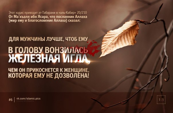 Хадисы О Общении С Мужчиной Незнакомом Общении хадисы с незнакомом о мужчиной