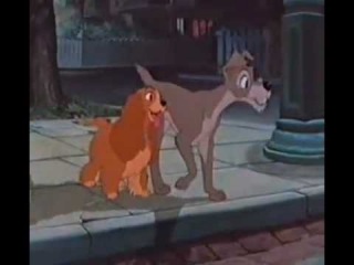 pelicula La Dama y el Vagabundo (1955) --CLÁSICOS DISNEY --