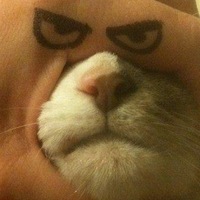 Серёжа Удалой