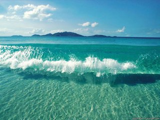 лето солнце море пляж картинки