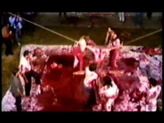 The Action art of Hermann Nitsch -- Hermann Nitsch (1962-2003)