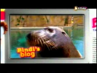 Бинди: девочка из джунглей. Серия 17