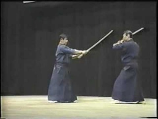 Shinto Muso Kenjutsu bunkai