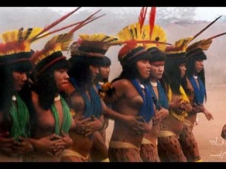 Save the Beauty of the Xingu